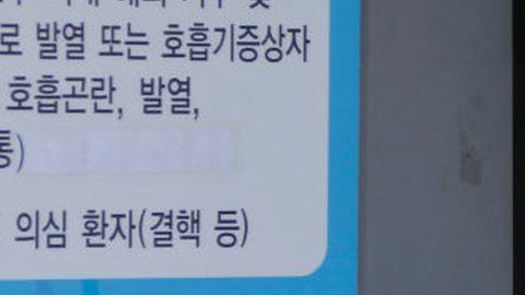 Corea del Sur logró supercar la crisis por el coronavirus.