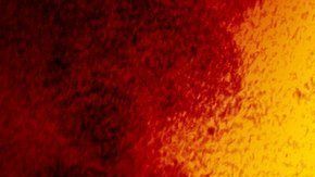 Coronavirus en Dallas.