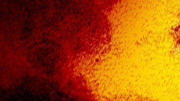 Coronavirus en Dallas.