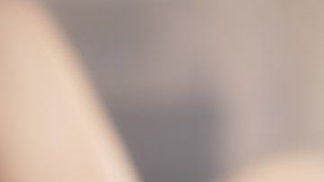 111150438_gettyimages-187321937