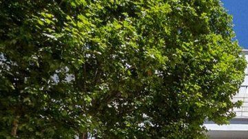 El paciente estaba internado en el hospital Cosme Argerich de Buenos Aires.