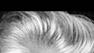 Beatrice Webb, Joan Robinson y Anna Schwartz son sólo tres ejemplos de mujeres que hicieron importantes aportes al pensamiento económico.