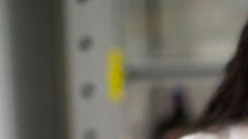 Virus de todo tipo han puesto en jaque al mundo.