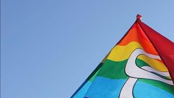 Una bandera gay ondea en una multitudinaria concentración a las puertas del Tribunal Supremo de EEUU.