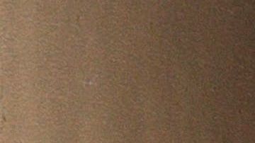 Alrededor de la mitad de las muertes tuvieron lugar en Nueva York.