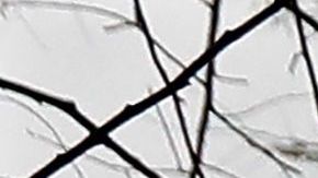 En la ciudad de Nueva York han muerto 776 personas.