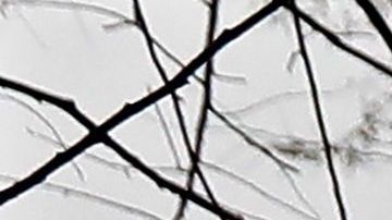 En la ciudad de Nueva York han muerto 776 personas.