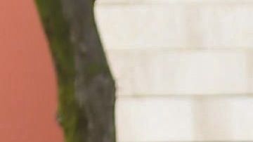 9,268 se curan en su propio domicilio.