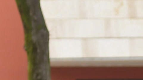 9,268 se curan en su propio domicilio.