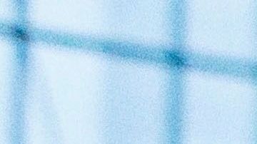 Las bolsas recogieron ganancias tras la peor caída desde 1987./Efe