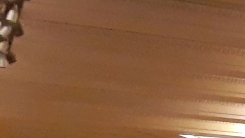 Los negocios de Joe Germanotta en Grand Central, NYC