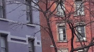 Panorama sombrío en Nueva York