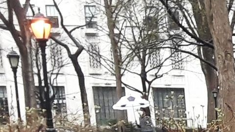 Nueva York sufre la parálisis más grande de su historia