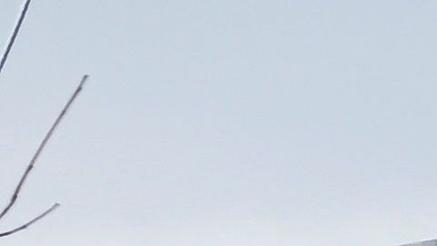 La mayor parte de las muertes se dieron en el condado de Putman.