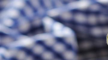 Para obtener los beneficios reales del aceite de coco es indispensable consumirlo extra virgen y orgánico.