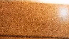 Paul Raud es senador republicano.