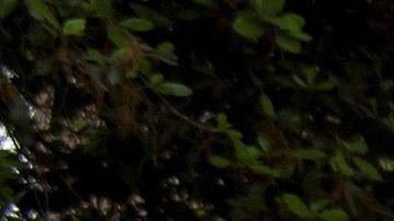 México cerró sus escuelas por el brote de coronavirus.