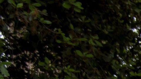 México cerró sus escuelas por el brote de coronavirus.