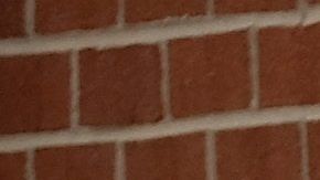 Los resultados finales de Texas saldrán el 13 de marzo.