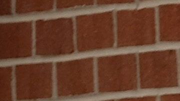 Los resultados finales de Texas saldrán el 13 de marzo.