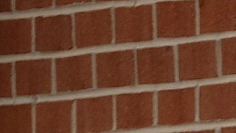 Los resultados finales de Texas saldrán el 13 de marzo.