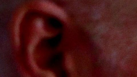 Estado de Washington no permitirá voto presencial en urna.