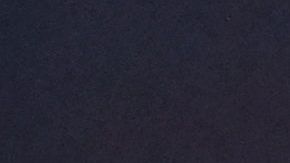 Los nombres más repetidos son los de tres excontrincantes de Biden.