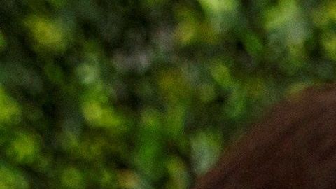 El riesgo es mayor en personas mayores y en enfermos.