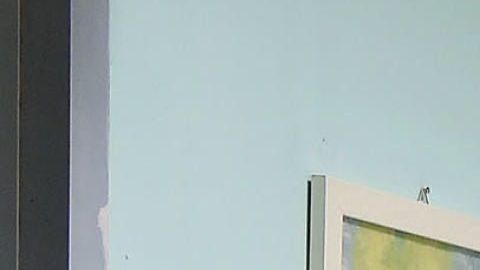 El coronavirus fue calificado como pandemia.