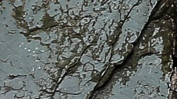 Un hombre en Quito camina frente a un letrero que pide permanecer en casa.