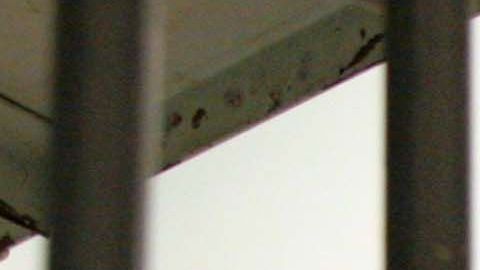 4E17345169177102D99F1C14C56AB235_data