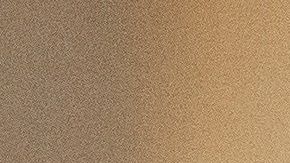 Steven Mnuchin, secretario del Tesoro.