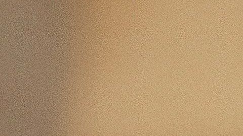 Steven Mnuchin, secretario del Tesoro.