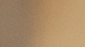 Steven Mnuchin, secretario del Tesoro.