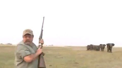 Los cazadores furtivos son los responsable de la muerte de muchos animales protegidos.