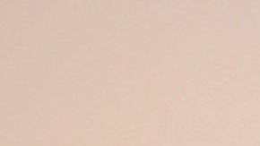 Chiquinquirá Delgado, acompañada de su novio, el periodista Jorge Ramos.