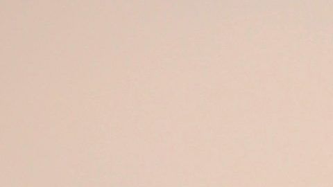 Chiquinquirá Delgado, acompañada de su novio, el periodista Jorge Ramos.