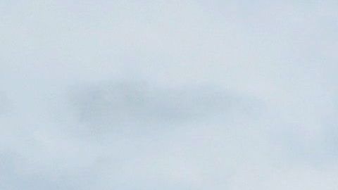 La tripulación hará cuarentena a bordo del buque.