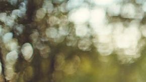 Qué peligro esconden los alimentos ultraprocesados