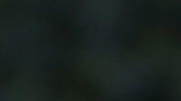 Fauci adelantó que la situación en otoño sería "completamente diferente".