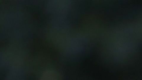 Fauci adelantó que la situación en otoño sería "completamente diferente".