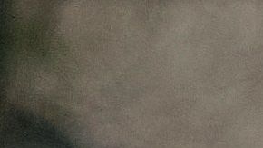 El coronavirus se propaga en Estados Unidos.