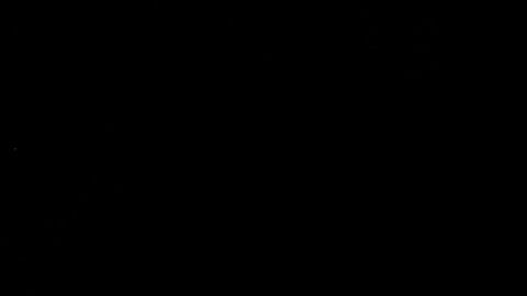 Andrew Yang en campaña.