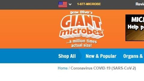 Foto por https://www.giantmicrobes.com/us/