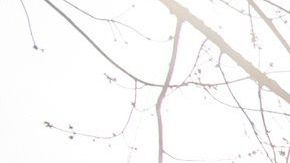 Las dos personas fallecidas estuvieron hospitalizadas en el mismo centro médico.