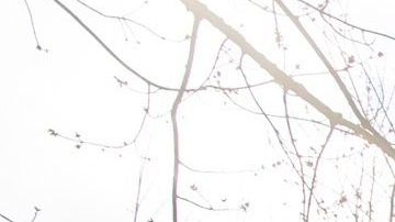 Las dos personas fallecidas estuvieron hospitalizadas en el mismo centro médico.