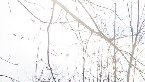 Las dos personas fallecidas estuvieron hospitalizadas en el mismo centro médico.