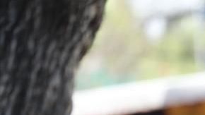 Coronavirus en México.