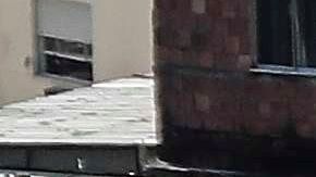 Favela en Río de Janeiro