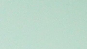 Algunas parejas se arrepintieron poco después.